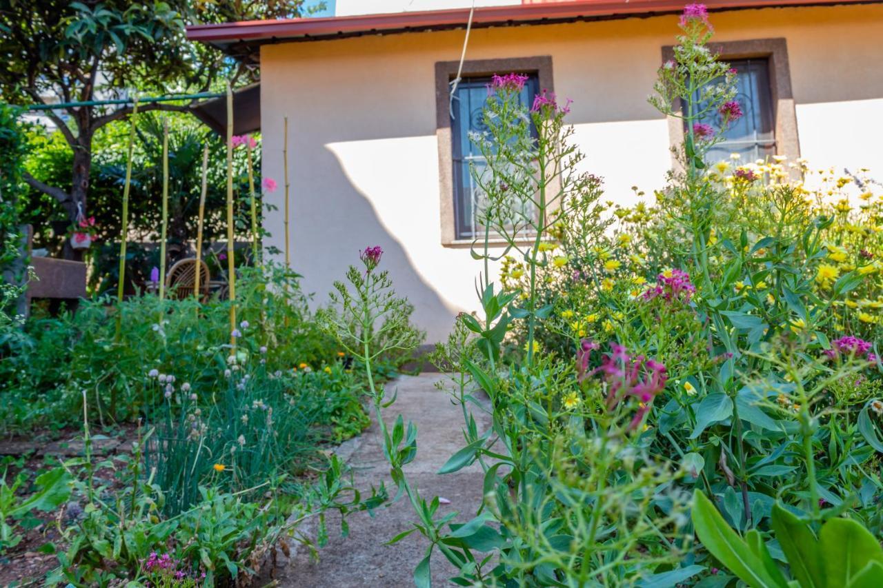 Вилла Little Garden House Риека Экстерьер фото